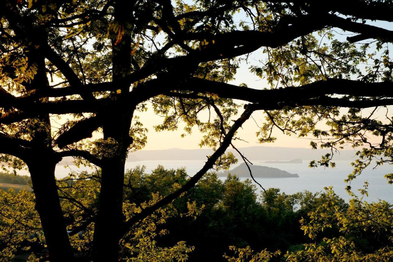Agriturismo Vigna Sul Lago مونتيفياسكون المظهر الخارجي الصورة