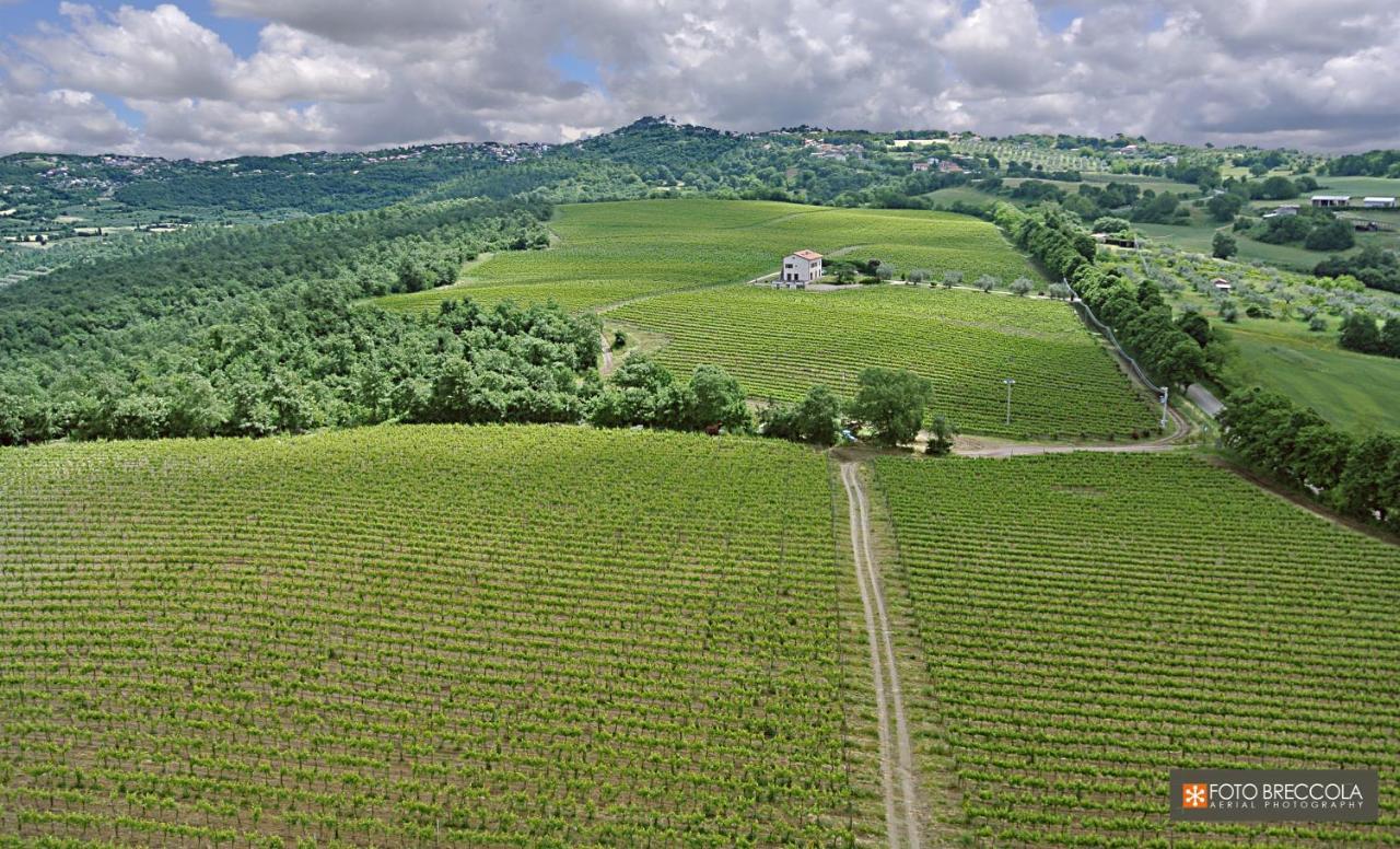 Agriturismo Vigna Sul Lago مونتيفياسكون المظهر الخارجي الصورة