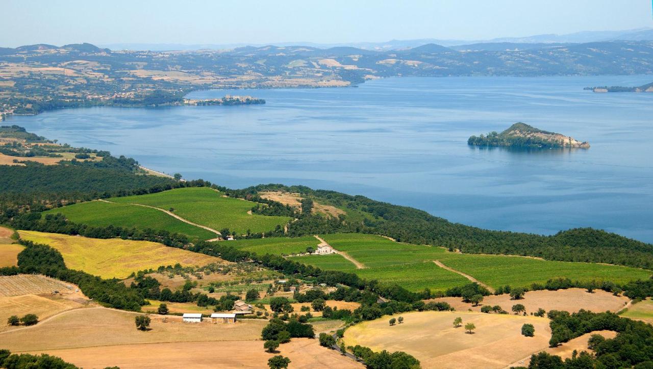 Agriturismo Vigna Sul Lago مونتيفياسكون المظهر الخارجي الصورة